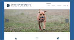 Desktop Screenshot of chrissabato.com